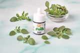 Gourmet Herb Collection