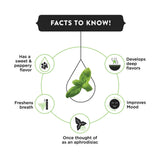 Basil Extract