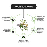 Italian Herb Extract