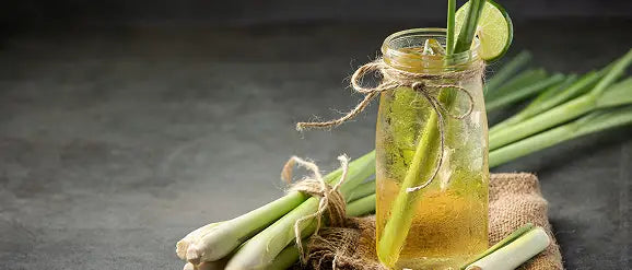 Lemongrass Essential Oils