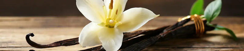 Vanilla Oleoresin