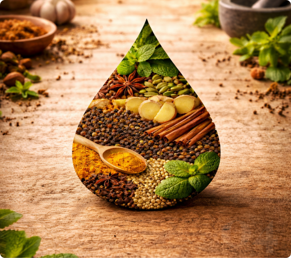 Spice Drop Takes Shape —
<br> An Idea Before a Product
